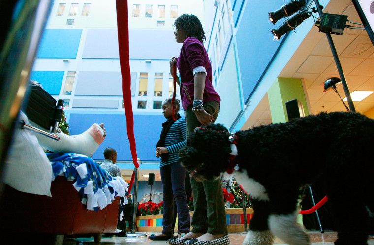 WASHINGTON - DECEMBER 22: Malia Obama (R) and Sasha Obama (C) take their dog Bo around to visit patients while at the Children's National Medical Center with their mother, first lady Michelle Obama on December 22, 2009 in Washington, DC.  The first lady toured the hospital visiting the Heart and Kidney Unit before greeting 200 patients and  hospital staff.  (Photo by Mark Wilson/Getty Images)